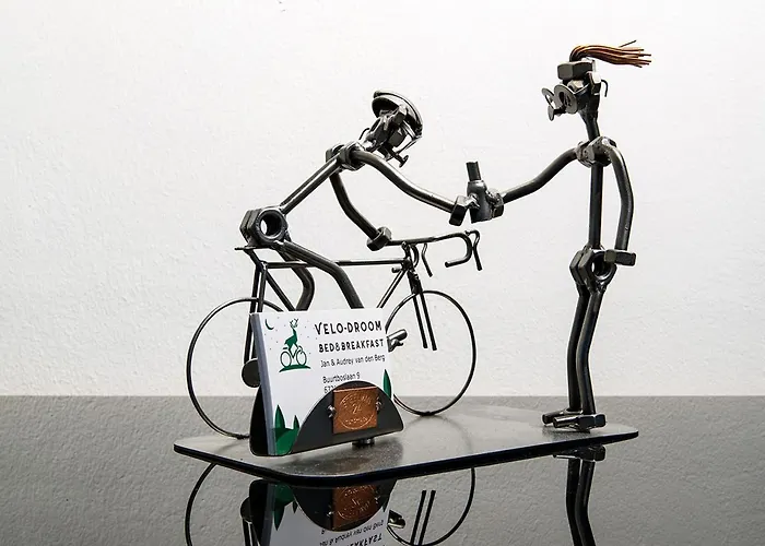 Bed and breakfast Velo-droom 4*