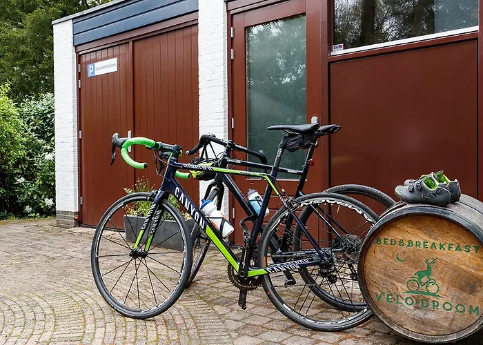 Velo-droom Nocleg ze śniadaniem