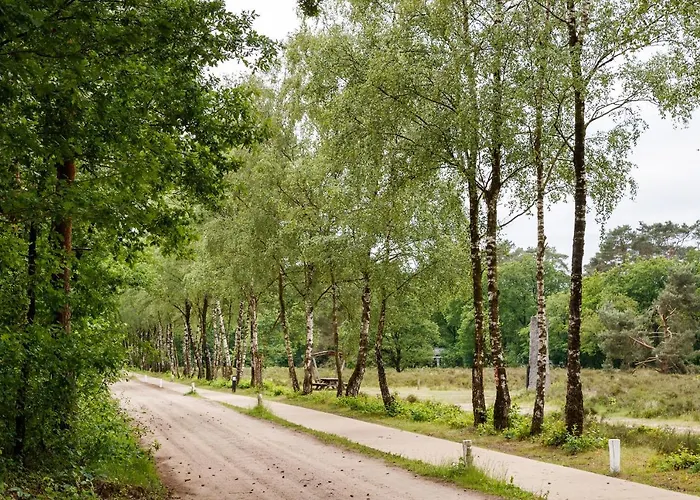 Nocleg ze śniadaniem Velo-droom 4*